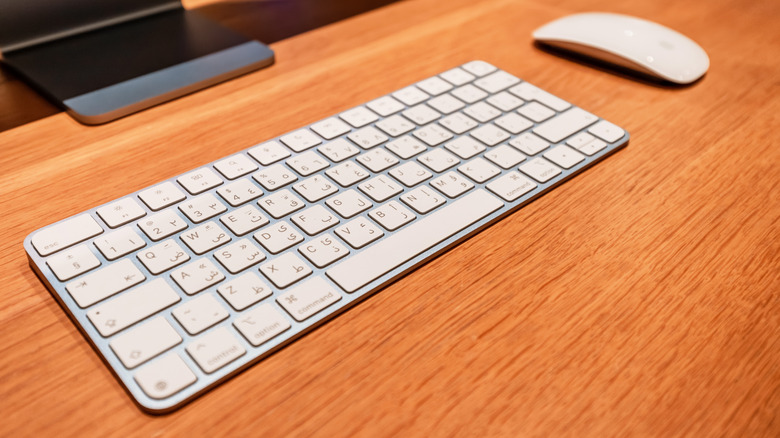 컴퓨터 앞 데스크탑의 매직 키보드와 마우스