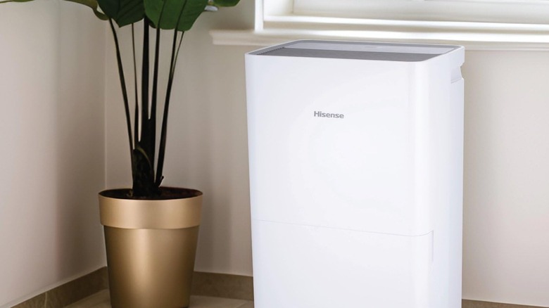 테이블 위의 제습기