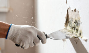 차고나 집에 제습기가 필요한지 테스트하는 간단한 방법은 다음과 같습니다.