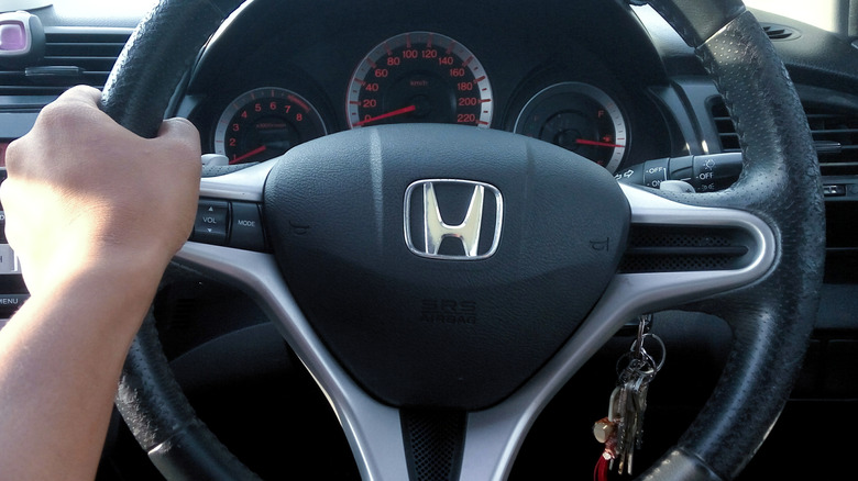 Honda 운전대를 잡고 있는 손의 모습