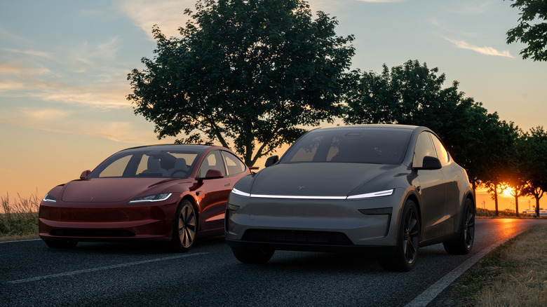 일몰의 Tesla Model Y 및 Model S