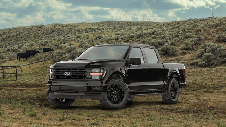 검은색 2026 Ford F-150이 울타리, 언덕, 소를 뒤에 두고 더러운 곳에 앉아 있습니다.