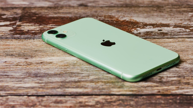나무 표면에 놓인 iPhone 11