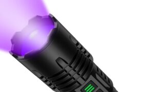 UV 라이트 손전등과 블랙 라이트 손전등의 차이점은 무엇입니까?