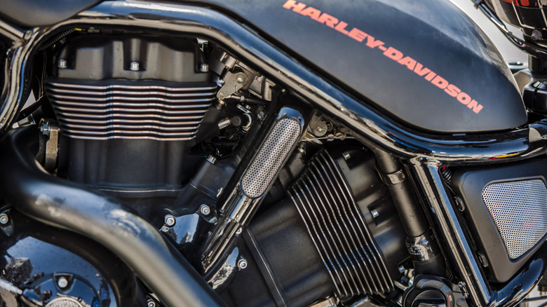 연료 탱크와 엔진을 보여주는 Harley-Davidson V-Rod의 클로즈업.