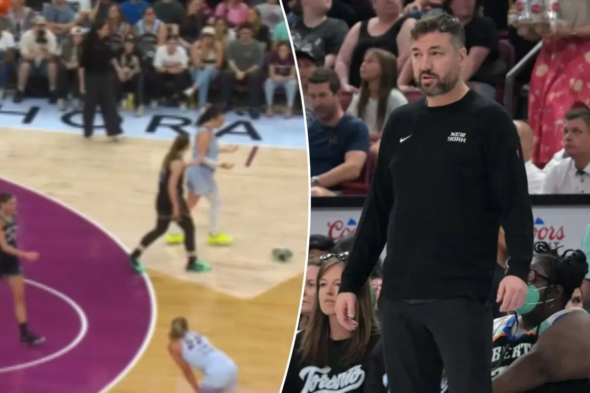 리버티의 Chris DeMarco는 패배 후 '애처로운' WNBA 심판을 찢었습니다: '물건 만들기'