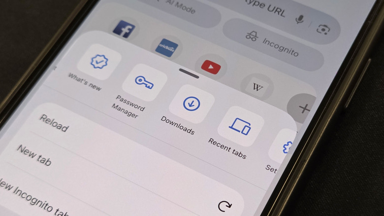 iPhone 15에서 열린 Chrome 앱의 다운로드 옵션