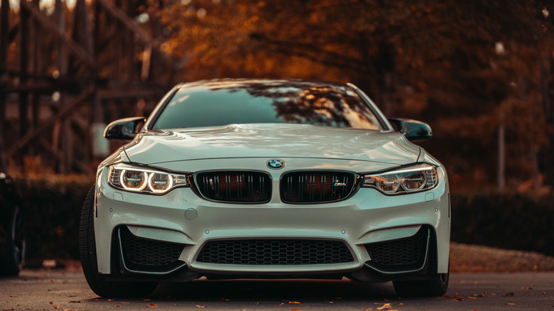 붉은 나뭇잎이 있는 숲 앞에 주차된 2020 BMW M4, 낮은 각도의 정면