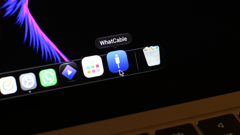Mac에 설치된 WhatCable 앱