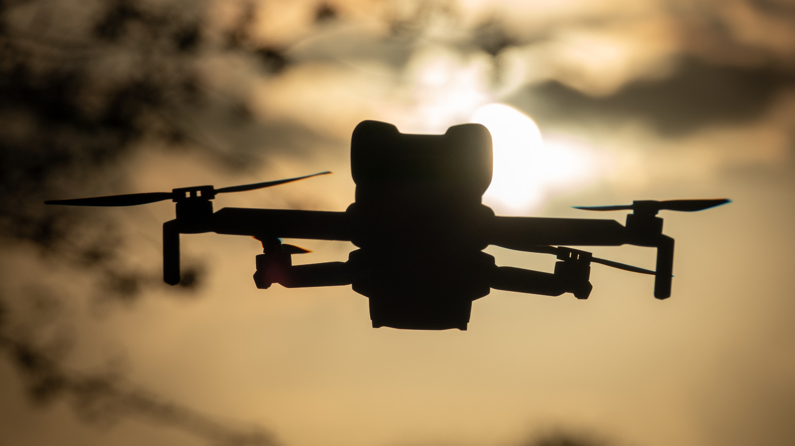 DJI Mini 5 Pro와 DJI Mini 3: 이 드론은 어떻게 비교되나요?