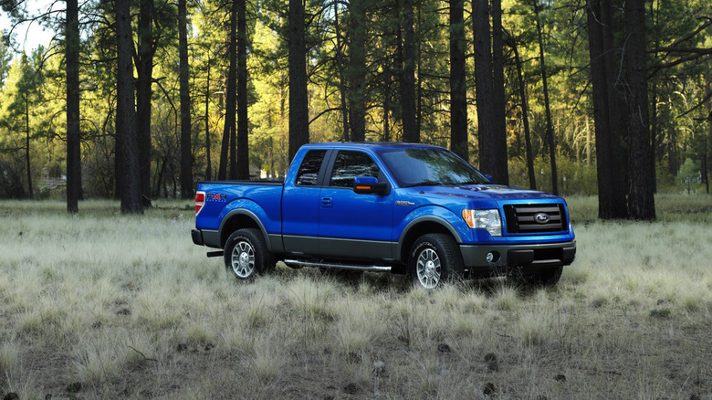 2009 포드 F-150 FX4 경치 좋은 숲