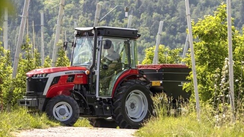 들판에서 Massey Ferguson 트랙터를 운전하는 사람