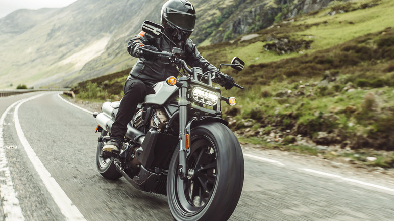 Revolution Max 1250T 수냉식 엔진을 장착한 Harley-Davidson Sportster S