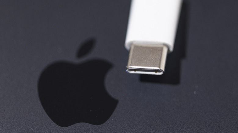 Apple 로고 옆에 있는 USB-C 케이블 사진.