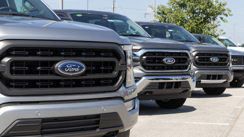 포드 F-150 트럭 라인업
