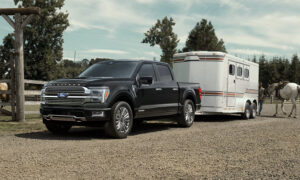Ford F-150의 ‘XL’은 어떤 의미가 있나요?